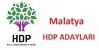 27. Dönem Milletvekili  Seçimi Malatya HDP Adayları
