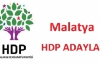 27. Dönem Milletvekili Seçimi Malatya HDP Adayları