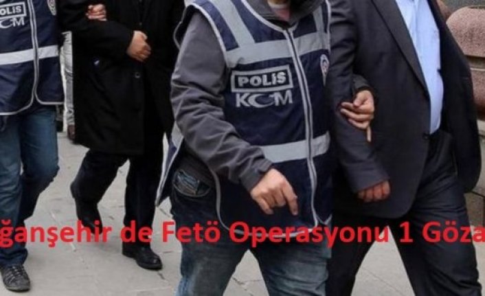 Doğanşehir de Fetö Operasyonu 1 Gözaltı